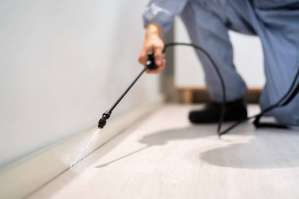 Licensed Pest Control service in Roodhouse, IL - Show Me Pest Control